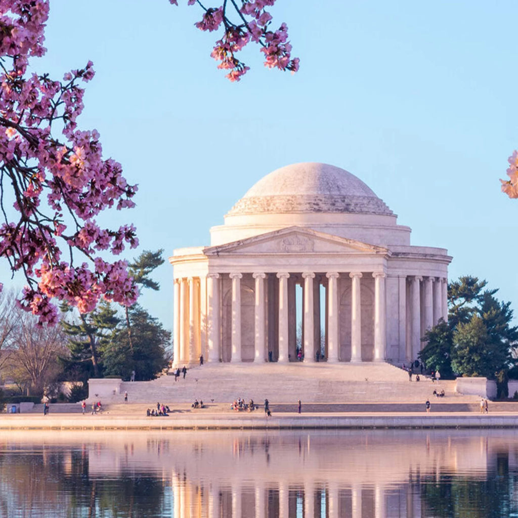 The Tuckernuck Insider’s Guide to Washington, DC